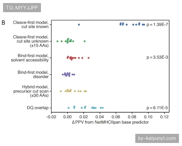 VAR规则：四类可介入情形与主裁终裁权说明