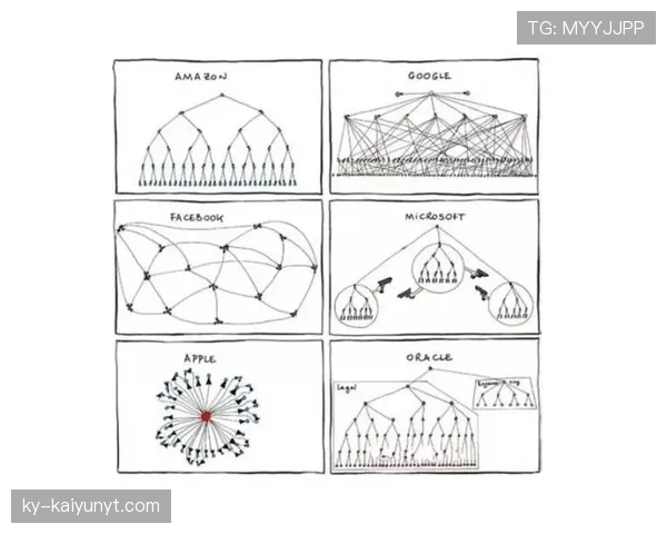 博努奇与范戴克防线组织中的结构性分散问题解析